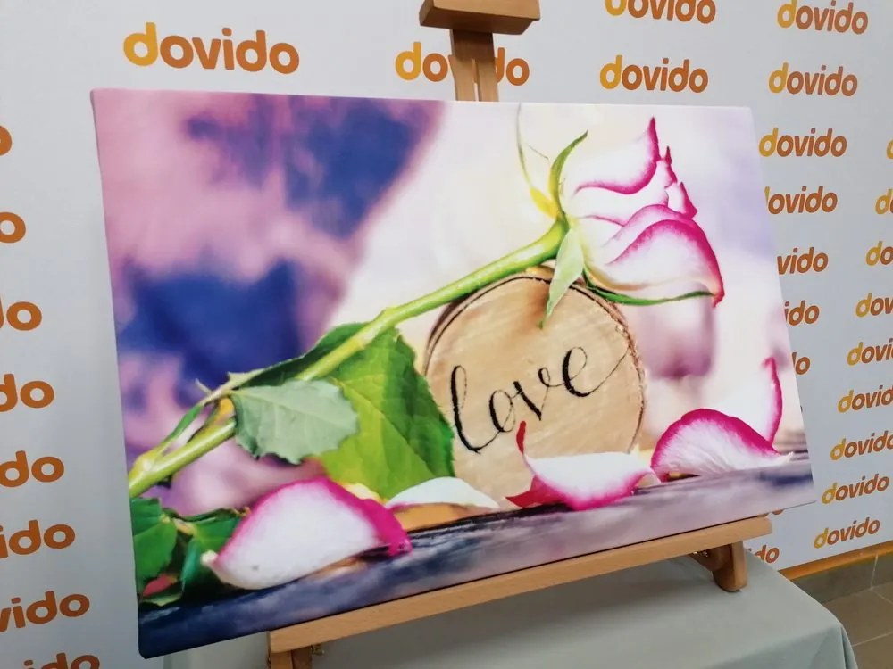 Stampa su tela – Dichiarazione romantica Love
