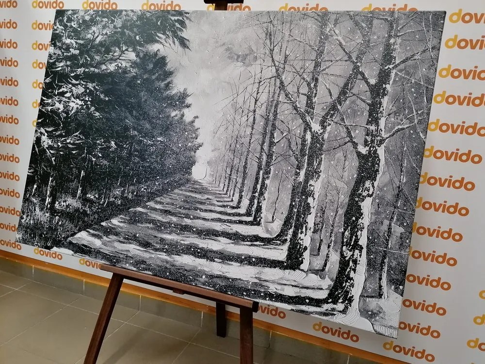 Stampa su tela – Viale alberato autunnale in bianco e nero