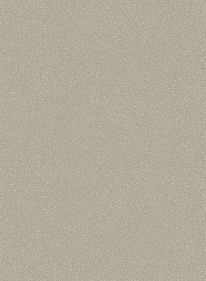 Cole & Son Carta da parati Pebble - Mushroom
