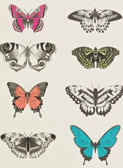 Harlequin Carta da parati - Flamingo/ Papaya/ Olive