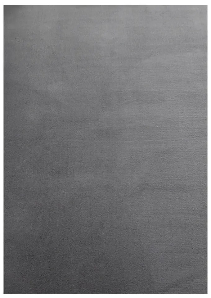 Tappeto lavabile grigio 140x200 cm Sky - Ayyildiz Carpets