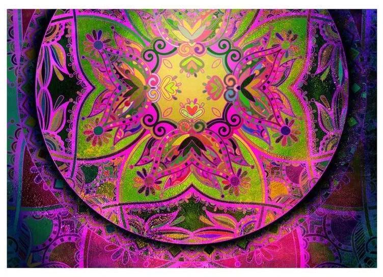 Fotomurale adesivo Mandala: Pink Expression