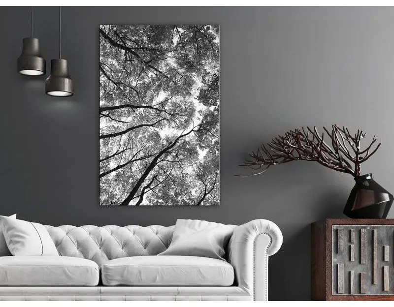 Quadro  High Trees (1 Part) Vertical  Larghezza x Altezza Home decor 40x60