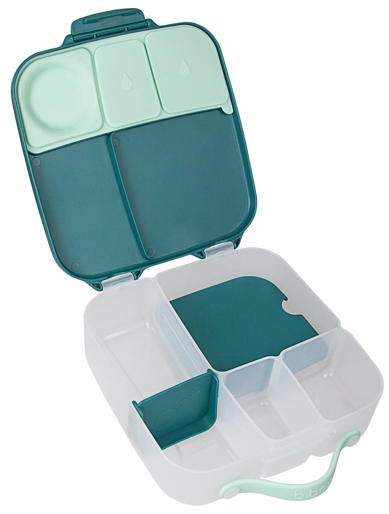 Box porta merenda grande – emerald forest