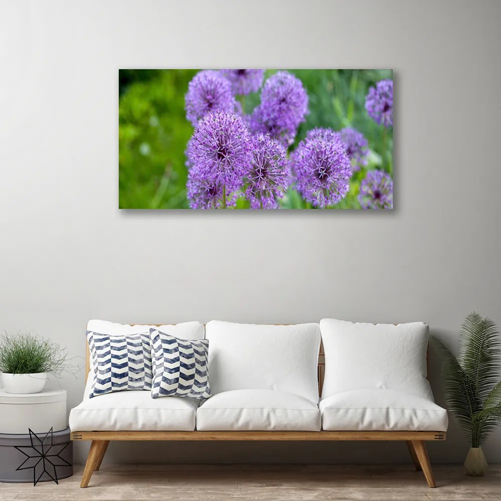 Foto quadro su tela Fiori viola del prato 100x50 cm