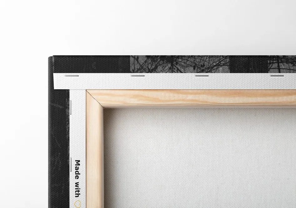 Quadro su tela – Luce nella foresta in bianco e nero