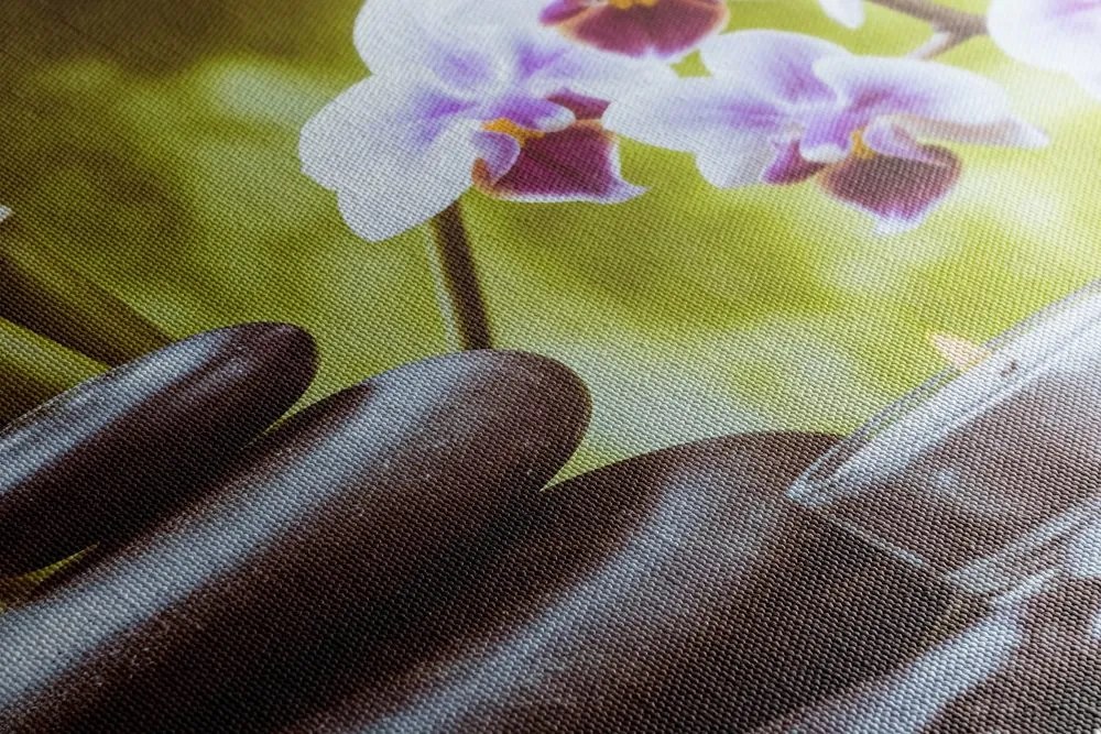 Stampa su tela – Natura morta spa