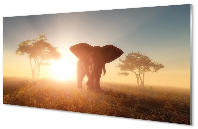 Pannello paraschizzi cucina Elefante dell'albero dell'alba 100x50 cm