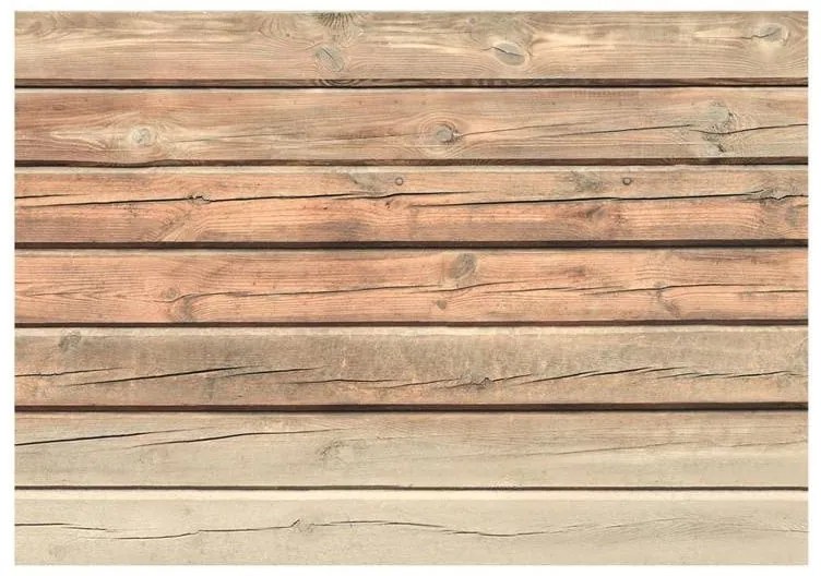 Fotomurale adesivo  Old Pine  Larghezza x Altezza Home decor 147x105