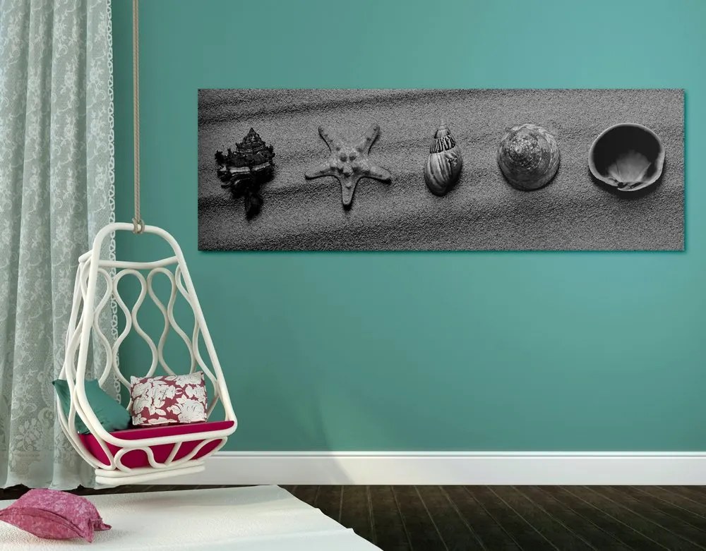 Quadro su tela – Conchiglie sulla spiaggia sabbiosa in bianco e nero