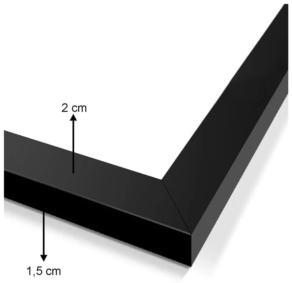 Dipinti in set da 5 pezzi Butterfly - Wallity