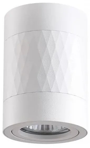 Luce Spot RUBIN 1xGU10/10W/230V bianco