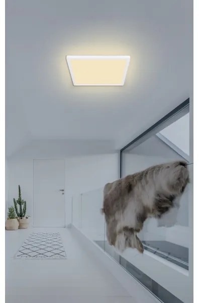 Globo 41563-18W - Plafoniera LED da bagno SAPANA LED/18W/230V IP44