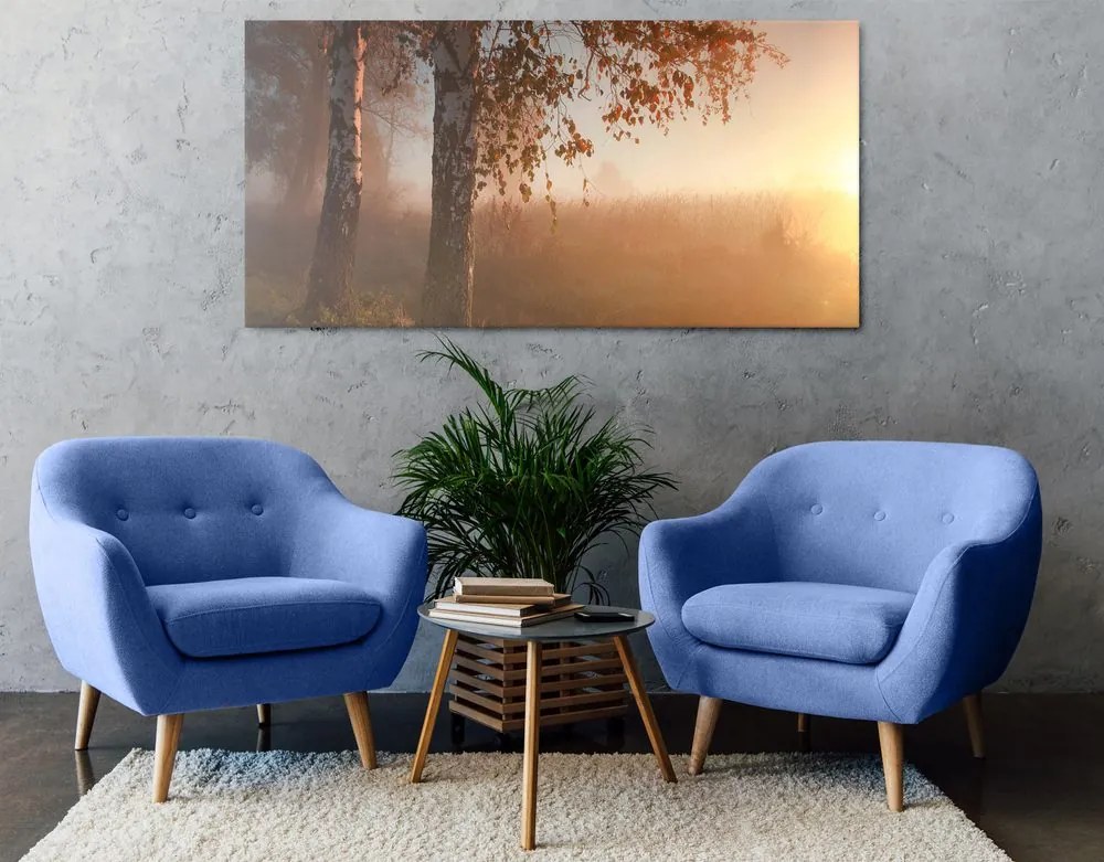 Quadro su tela – Foresta autunnale nebbiosa