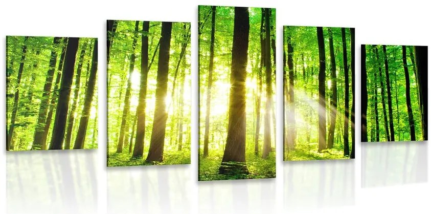 Quadri 5 pezzi – Foresta verde fresca