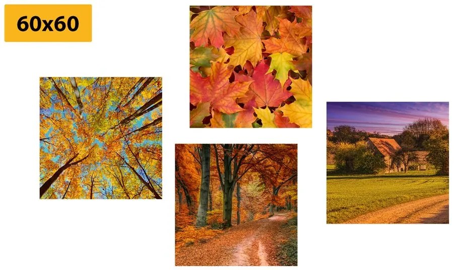 Set di quadri – Natura in colori autunnali