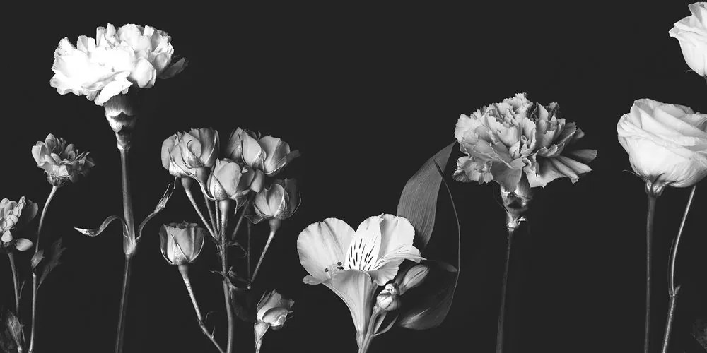 Stampa su tela – Fiori eleganti in bianco e nero