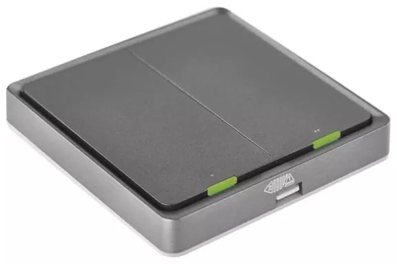 Interruttore 2 bottoni GoSmart 1xCR2430 Tuya nero