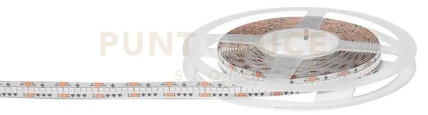 Gst184r- striscia led 5mt rgb 5025lm 21w/m ip20