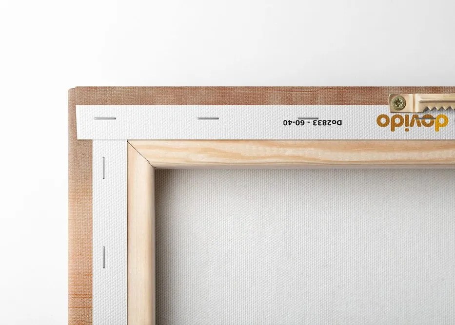 Quadro su tela – Motivi con fiore Peach Fuzz