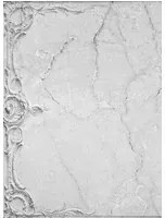 Coordonne Carta da parati panoramica Broken Ceiling - Grey