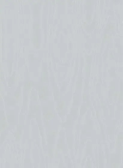 Tapete Watered Silk von Cole and Son - Ice Blue