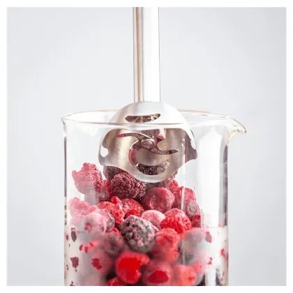 Tefal - Frullatore a immersione QUICKCHEF 1000W/230V nero