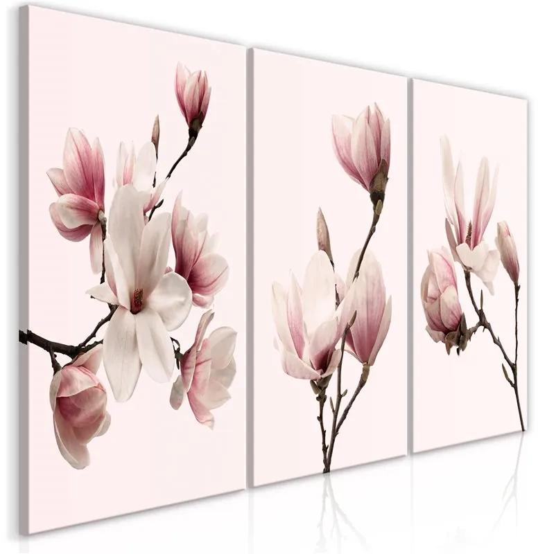Quadro Spring Magnolias (3 Parts)