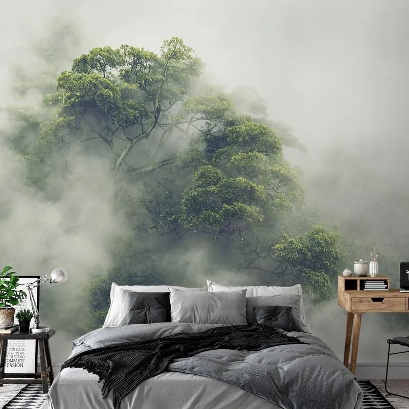 Fotomurale adesivo  Foggy Amazon  Larghezza x Altezza Home decor 245x175