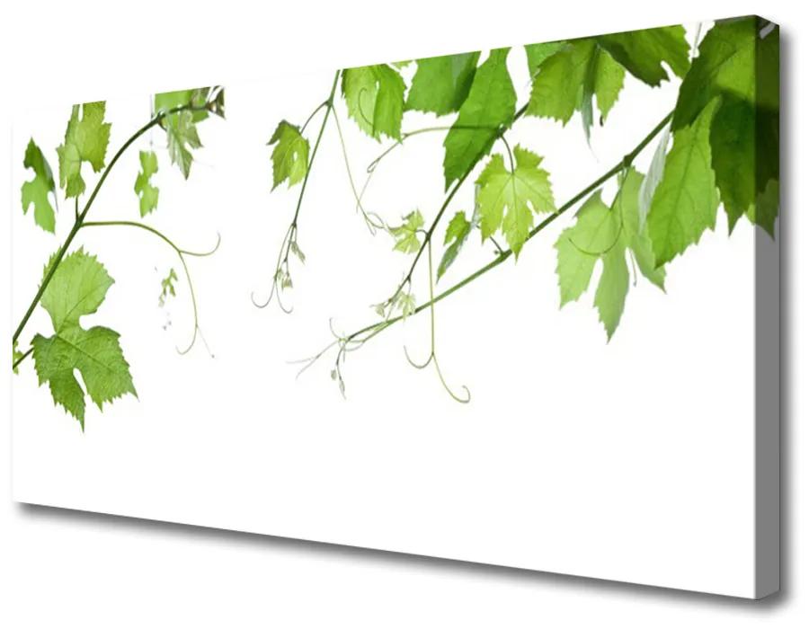 Quadro su tela Rami, foglie, natura, fiori 100x50 cm