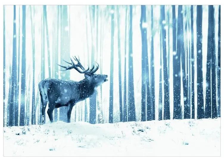 Fotomurale adesivo Deer in the Snow (Blue)