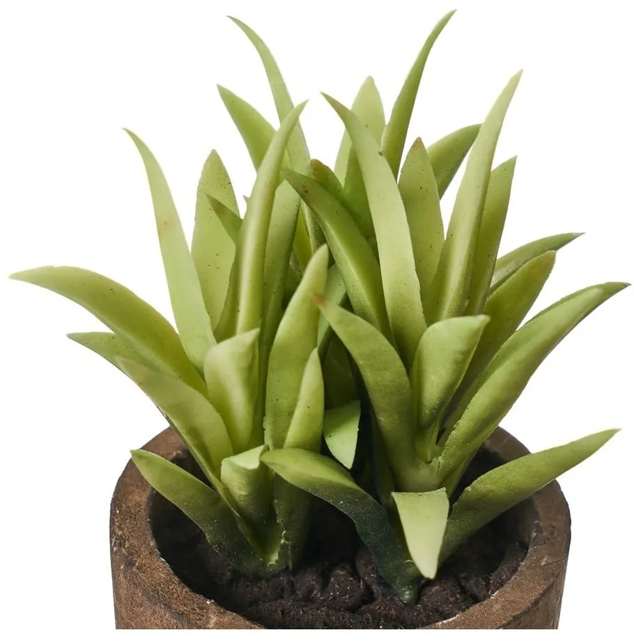 Piante artificiali in set da 4 (altezza 10 cm) Cactus - Casa Selección