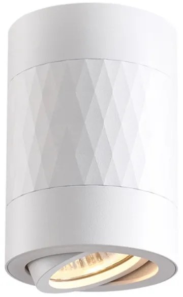 Luce Spot RUBIN 1xGU10/10W/230V bianco