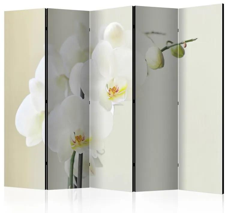 Paravento White orchid II [Room Dividers]