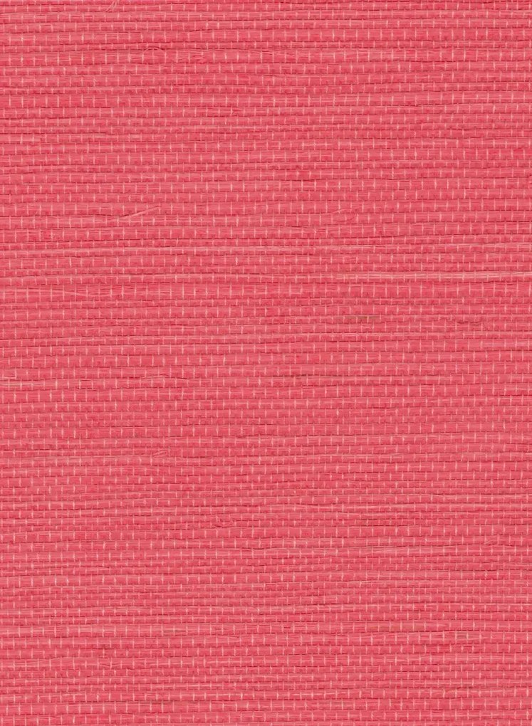 Élitis Carta da parati Sisal - RM 1069 53