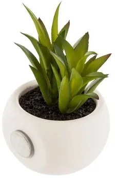 Pianta Decorativa Atmosphera Calamita Verde PVC