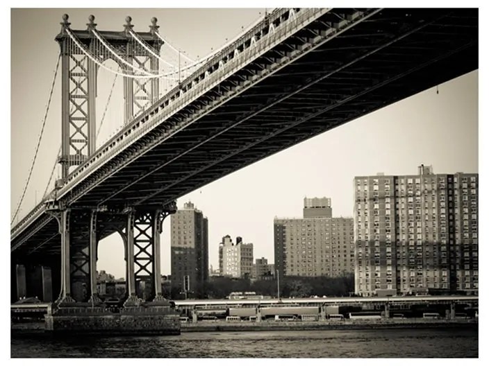 Fotomurale  Ponte di Manhattan, New York  Colore bianco e nero, Dimensioni e Misure 200x154