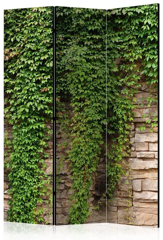 Paravento  Ivy wall [Room Dividers]  Colore ---, Dimensioni e Misure 135x172