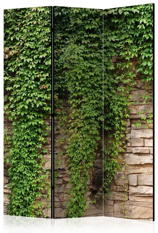 Paravento Ivy wall [Room Dividers]