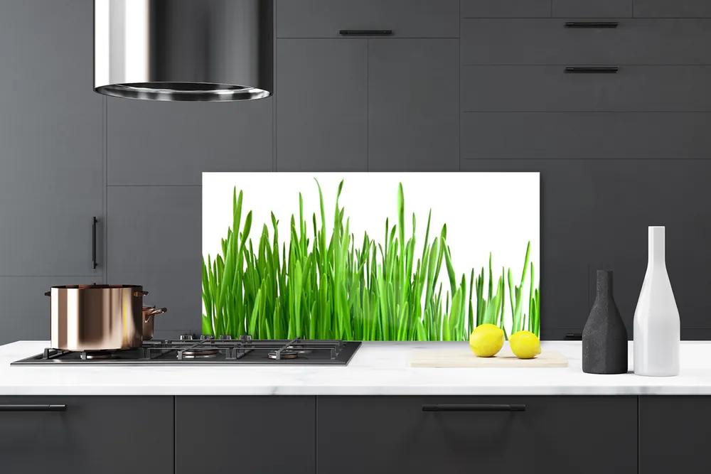 Rivestimento parete cucina Erba, piante, natura 100x50 cm
