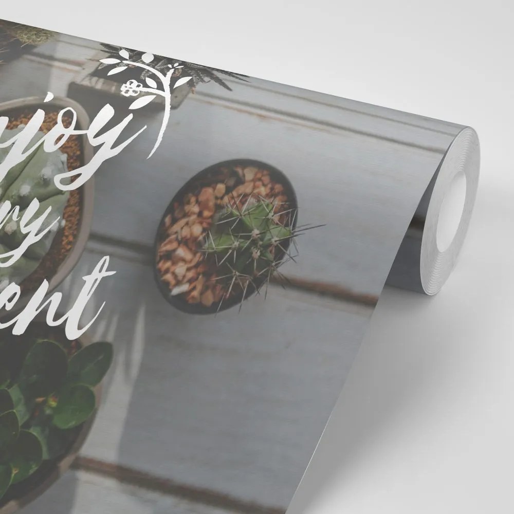 Carta da parati – Citazione - Enjoy every moment