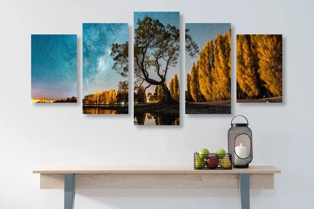 Quadri 5 pezzi – Albero sotto il cielo stellato