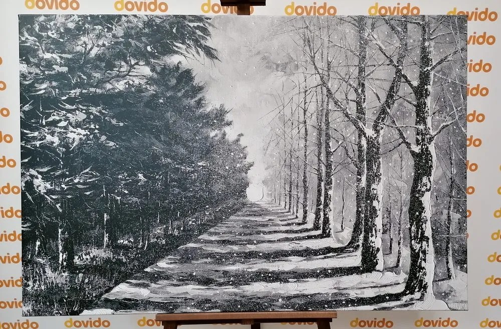 Stampa su tela – Viale alberato autunnale in bianco e nero
