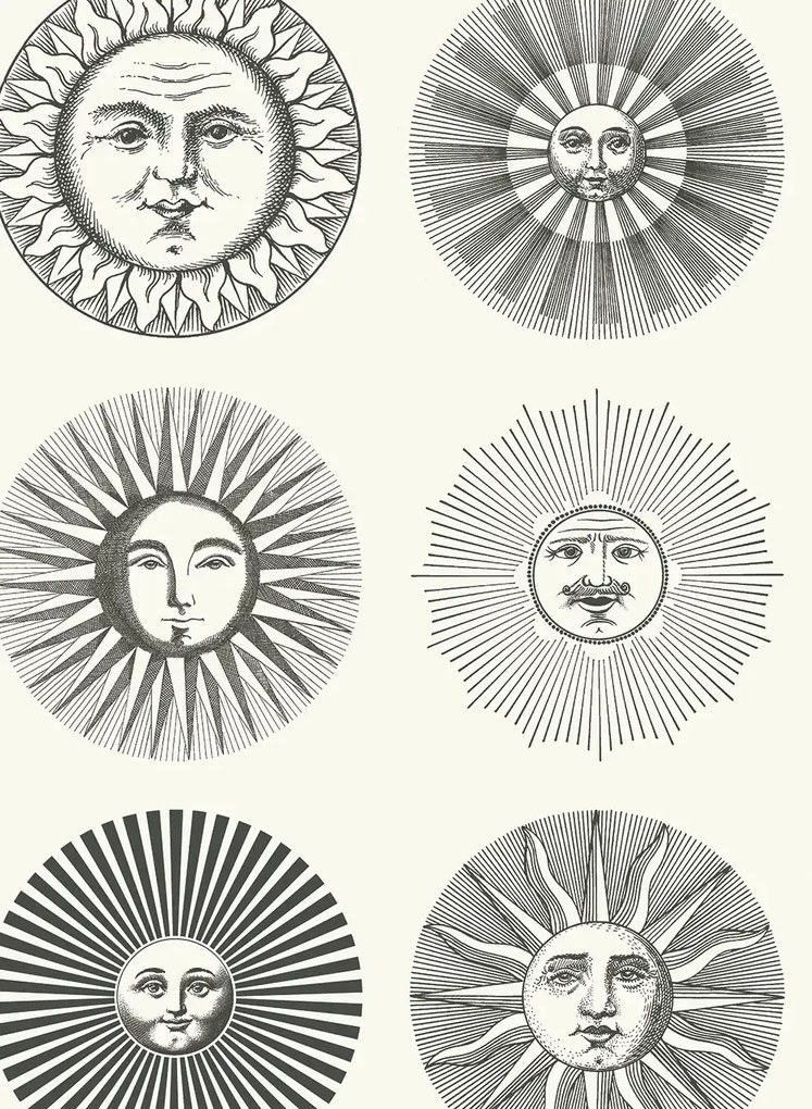 Cole & Son Carta da parati Soli - Black/ White