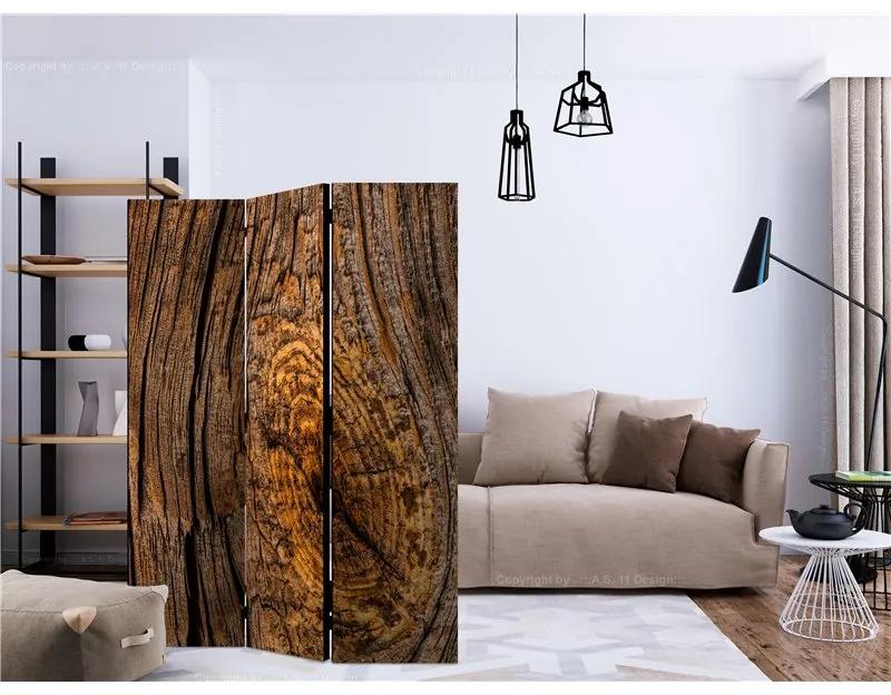 Paravento Old Tree [Room Dividers]
