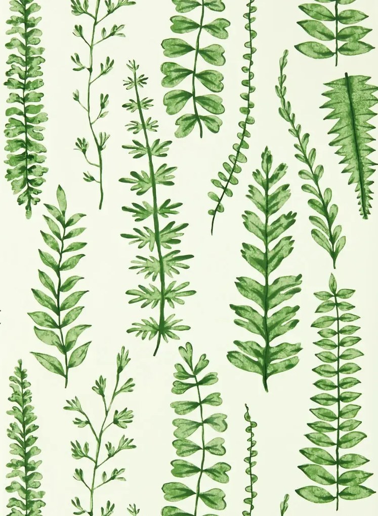 Scion Carta da parati Ferns - Juniper
