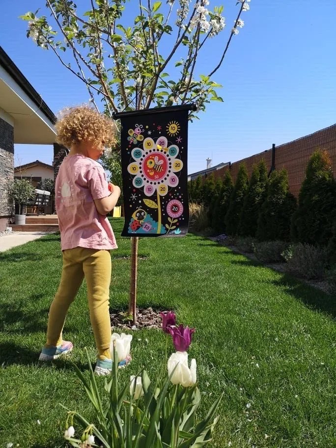 Gioco delle Freccette - Giardino