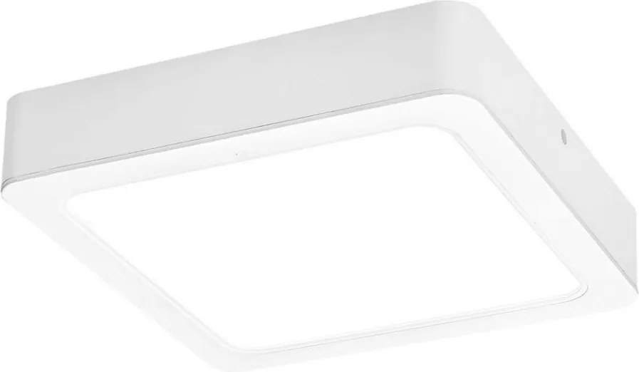 Rabalux 3176 - Plafoniera LED SHAUN LED/24W/230V 22 cm