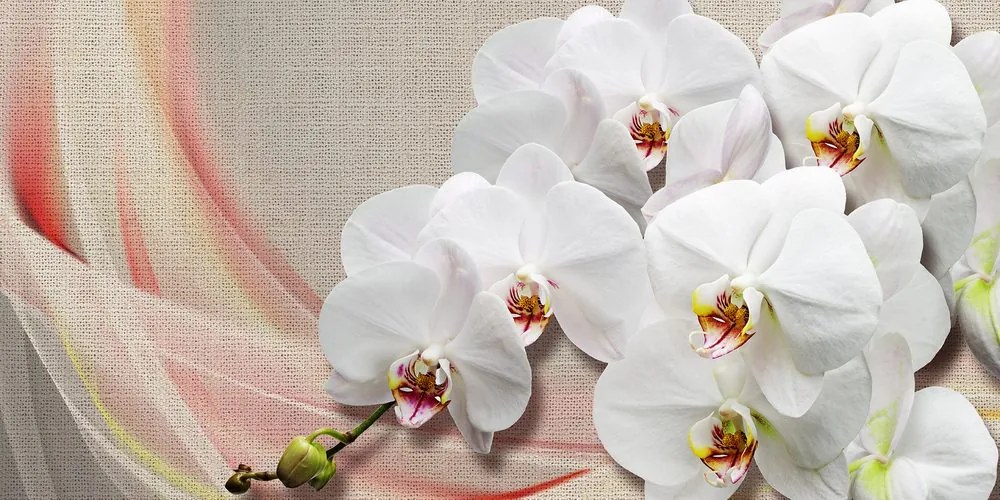 Quadro su tela – Orchidea bianca su tela
