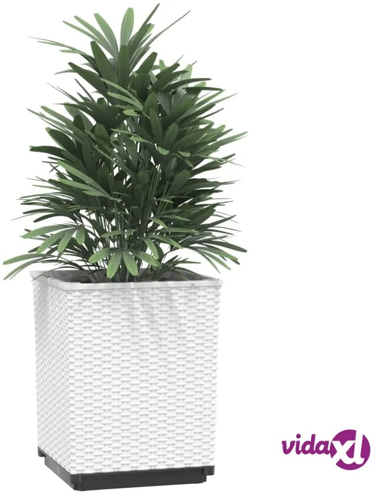 vidaXL Fioriere 4 pz Bianche 30x30x37 cm in Polipropilene